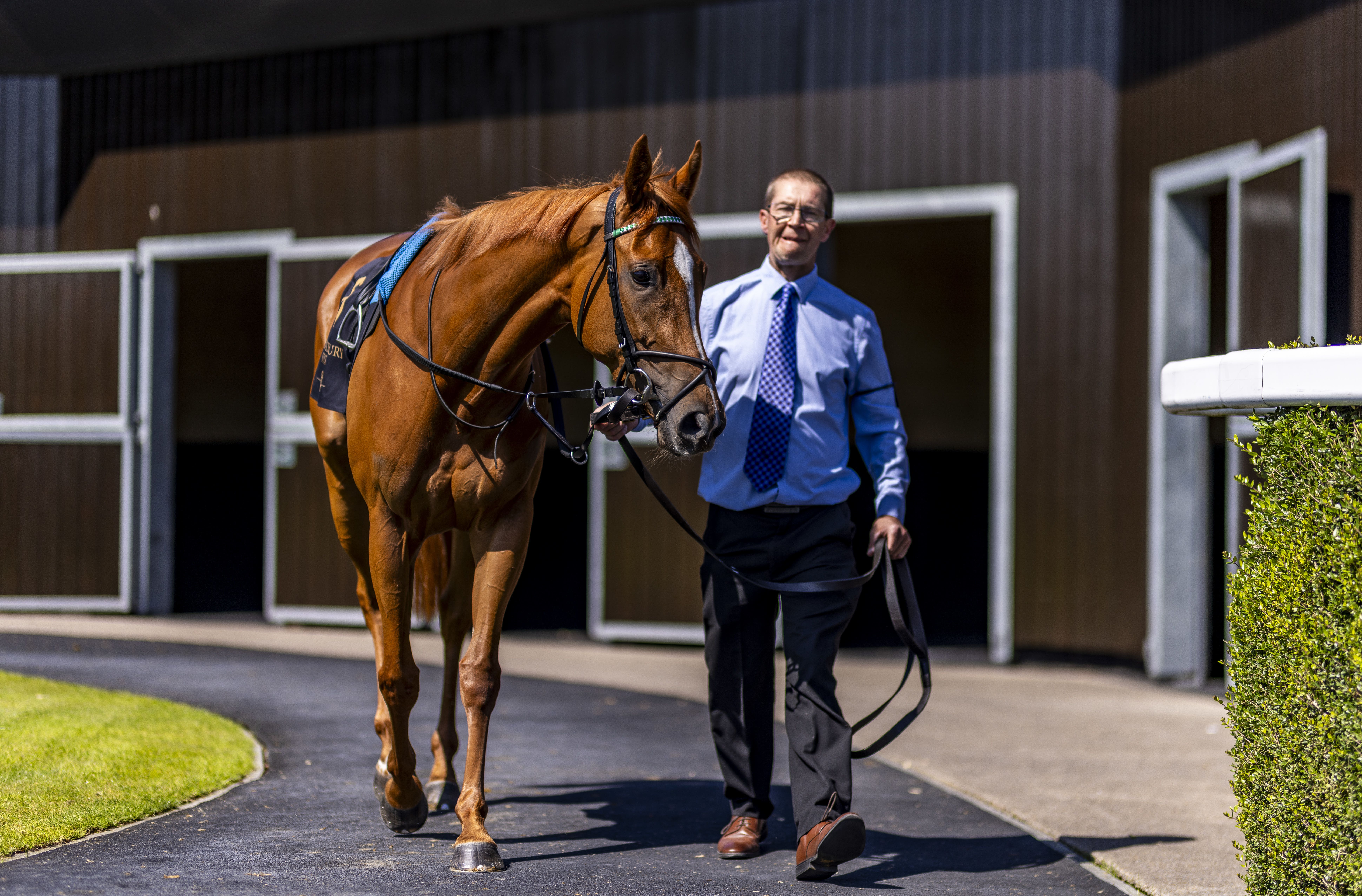 Sand Gazelle is the sole British challenger in the Snow Fairy Stakes